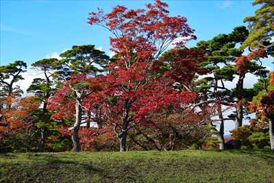 1023_函館五稜郭公園_北海道