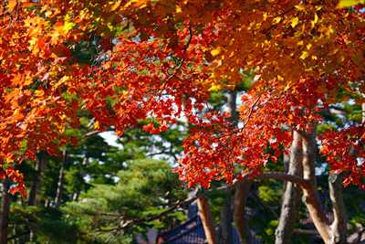 1025_函館五稜郭公園_北海道