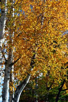 函館市内_北海道