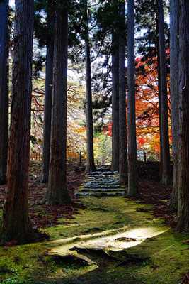1011_函館見晴公園_北海道