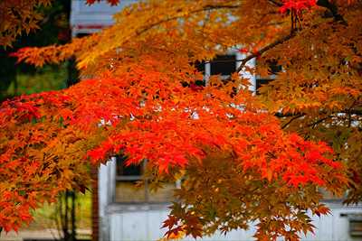1017_函館見晴公園_北海道