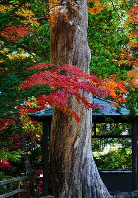 1022_函館見晴公園_北海道