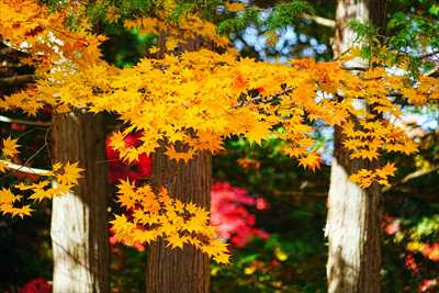 1024_函館見晴公園_北海道