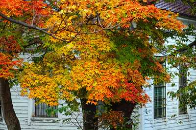 1002_函館公園_北海道