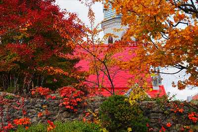 1034_函館カトリック元町教会_北海道