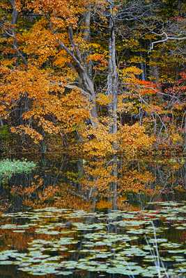 1064_大沼公園_北海道