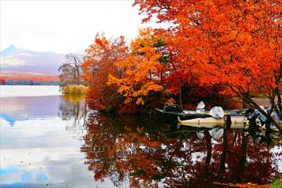 1069_大沼公園_北海道
