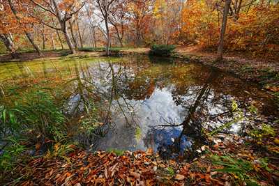大沼公園_北海道