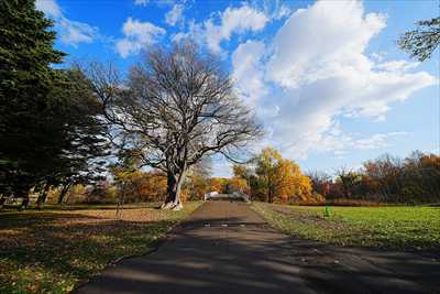1093_札幌真駒内公園_北海道
