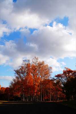 札幌真駒内公園_北海道