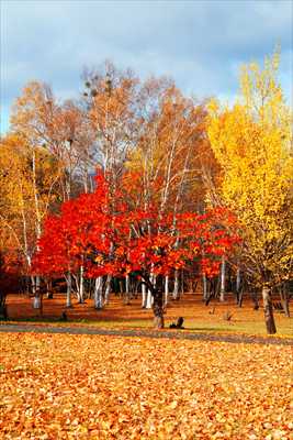 1100_札幌真駒内公園_北海道