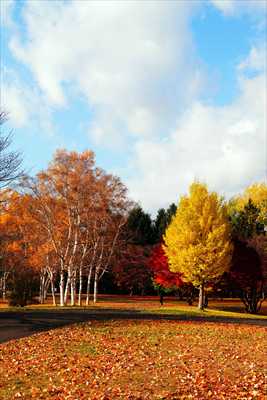 1103_札幌真駒内公園_北海道