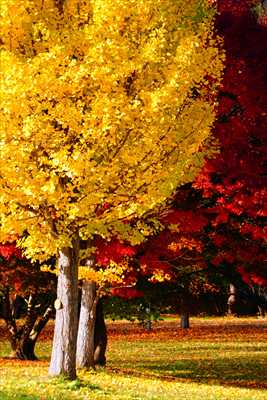 1104_札幌真駒内公園_北海道