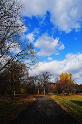 札幌真駒内公園_北海道