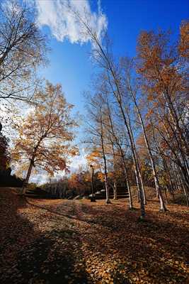 1112_札幌藻南公園_北海道