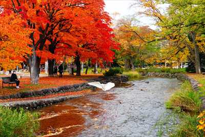 1114_札幌中島公園_北海道