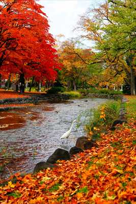 1115_札幌中島公園_北海道