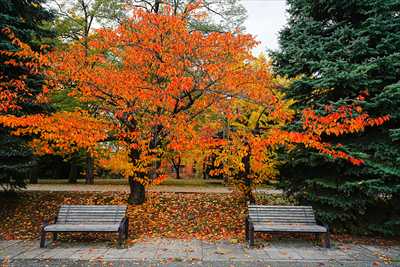 1116_札幌中島公園_北海道