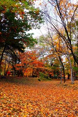 1117_札幌中島公園_北海道