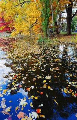 1122_札幌道庁赤れんが庁舎_北海道