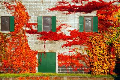 1129_小樽運河_北海道