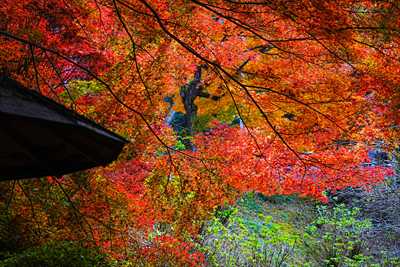 1003_高崎徳明園_群馬