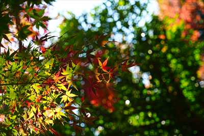 1231_横浜市新羽町_神奈川