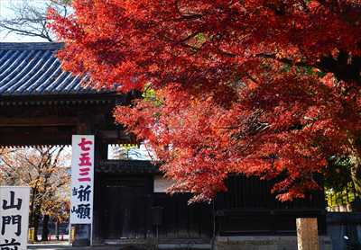 1002_川越喜多院_埼玉