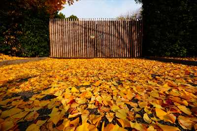 1129_洛中 東寺_京都