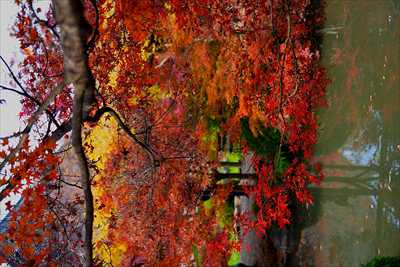 1139_洛中 東寺_京都