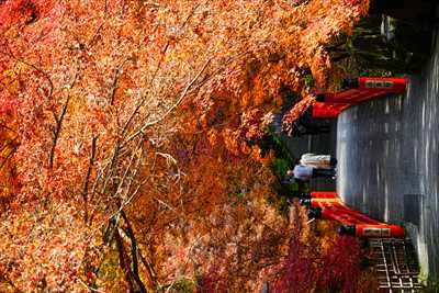 洛東 今熊野観音寺_京都