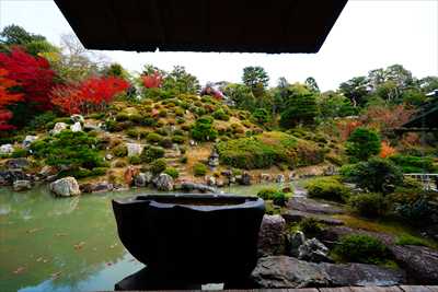 1056_洛東 智積院_京都