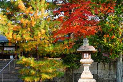 1200_洛東 大谷本廟_京都