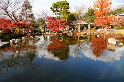 1254_洛東 円山公園ひょうたん池_京都