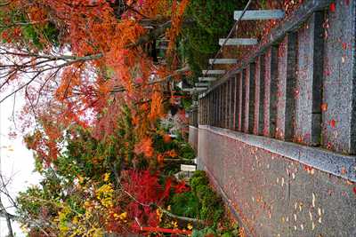 1213_洛東 粟田神社_京都