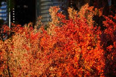 1005_洛東 南禅寺_京都