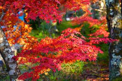 1008_洛東 南禅寺_京都