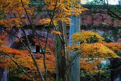1014_洛東 南禅寺_京都