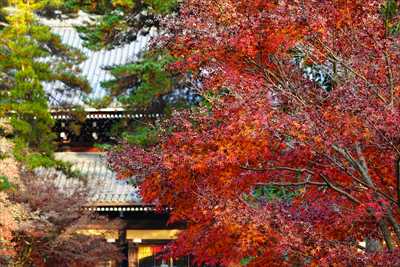 1018_洛東 南禅寺_京都