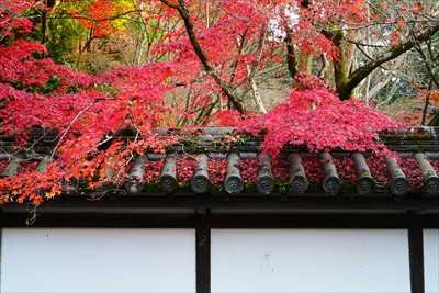1019_洛東 南禅寺_京都