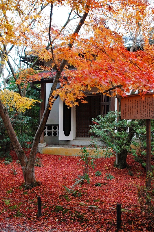 1002_洛北 常照寺_京都
