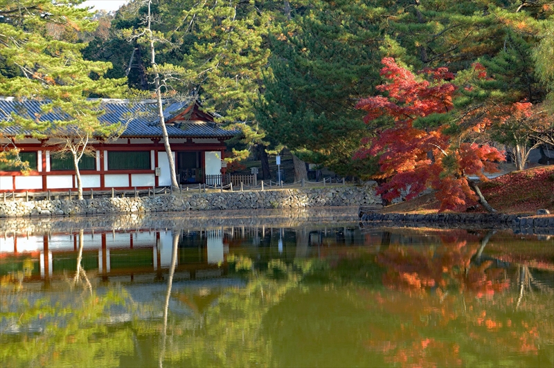 1004_奈良公園_奈良