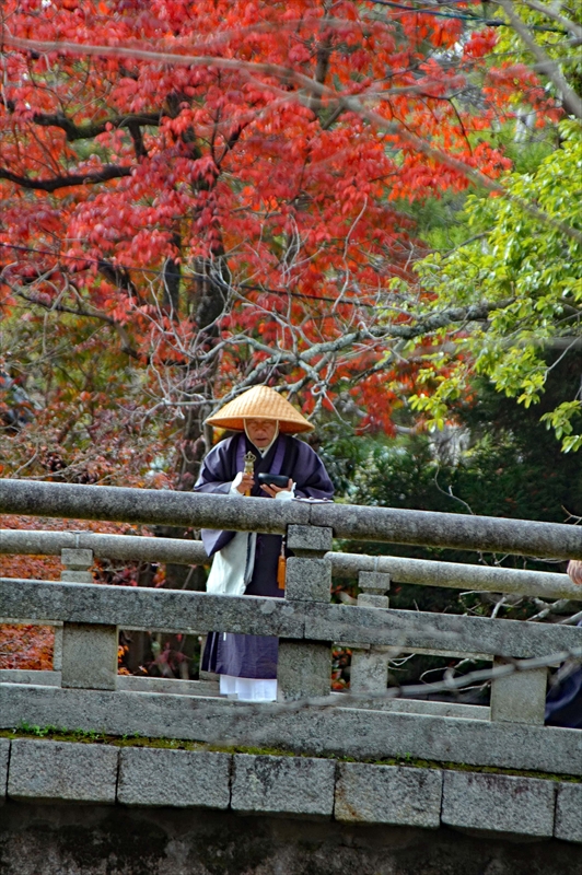 1035_奈良公園_奈良