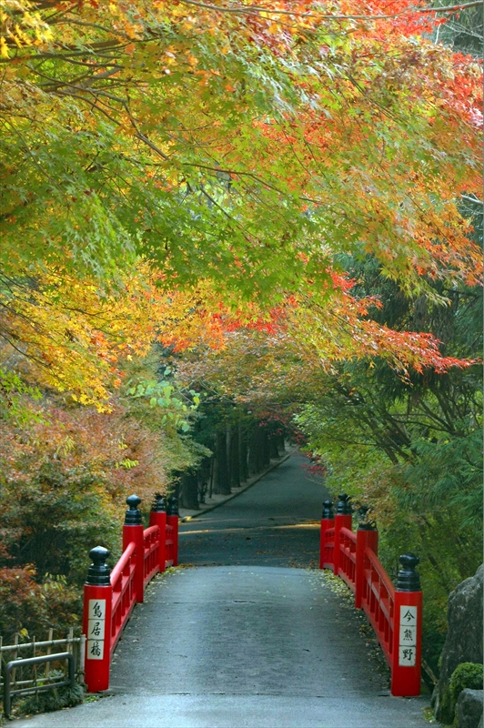 1061_洛東 今熊野観音寺_京都