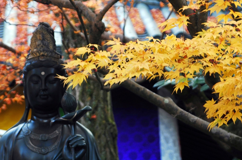 1064_洛東 今熊野観音寺_京都
