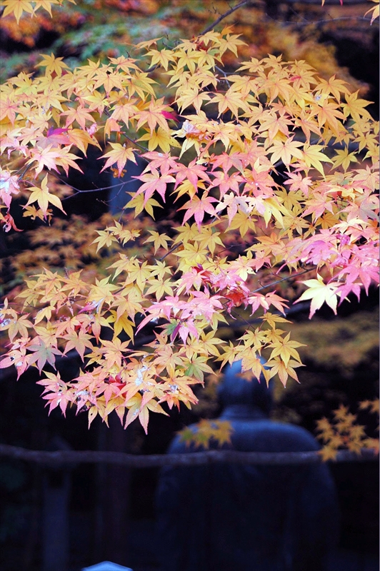 1066_洛東 今熊野観音寺_京都