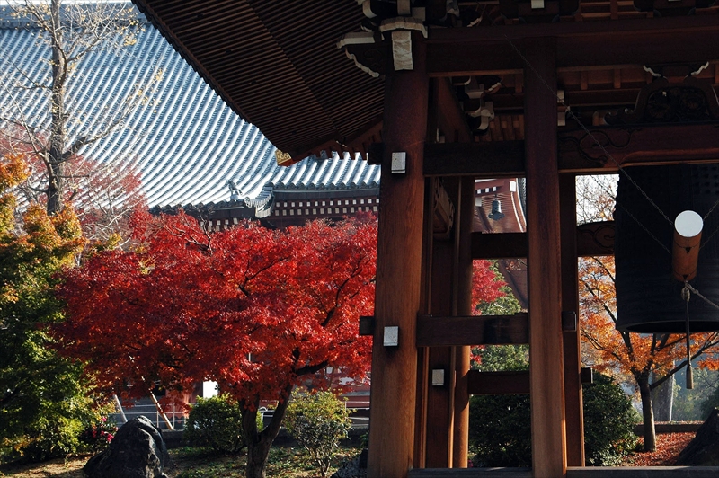 1029_洛東 智積院_京都