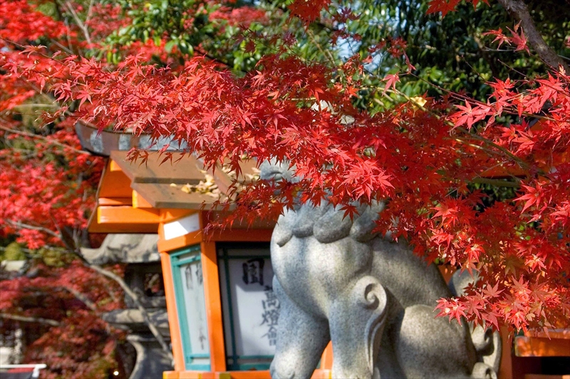 1020_洛東 八坂神社_京都