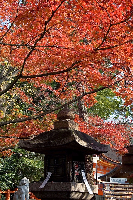 1022_洛東 八坂神社_京都
