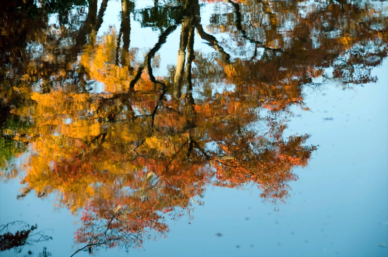 1009_玄宮園_滋賀